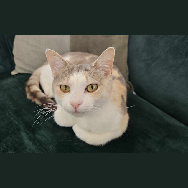 Photo of Winifred
