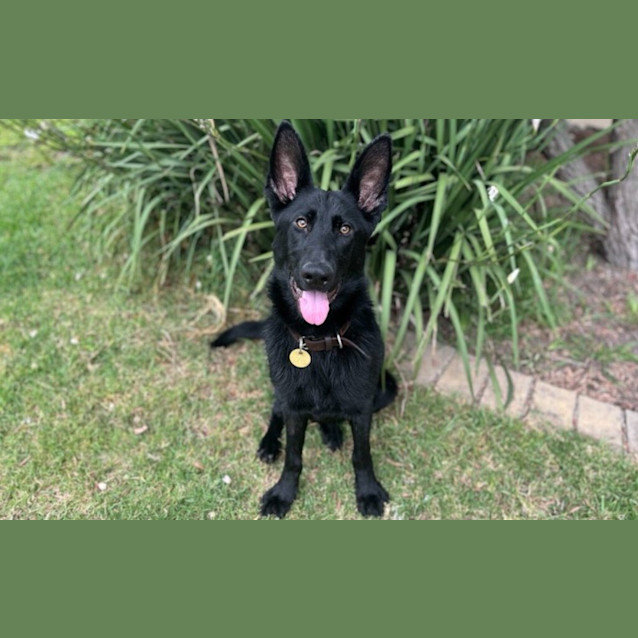 Photo of Belle