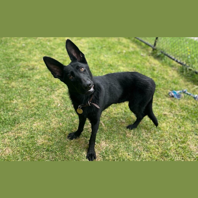 Photo of Belle
