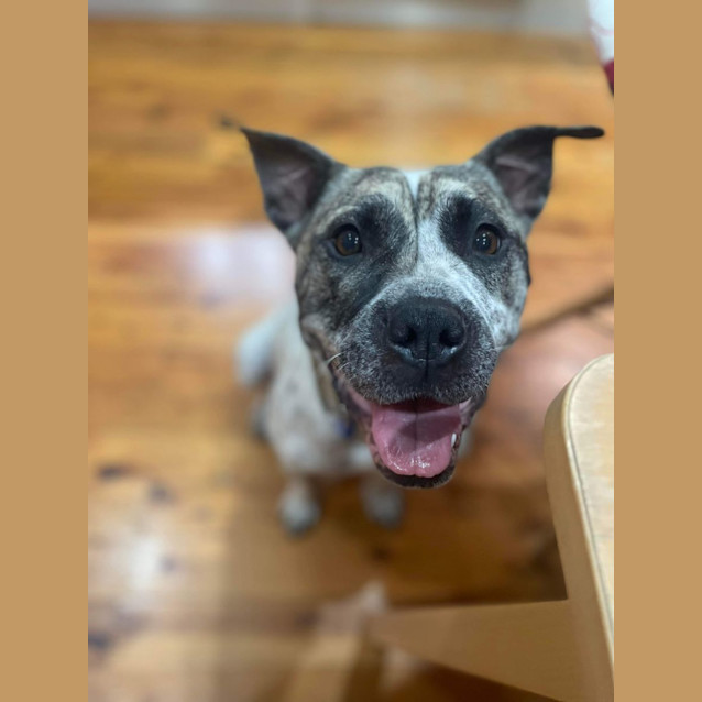 Photo of Mama Bella