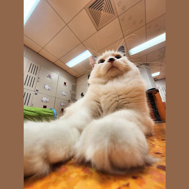 Photo of Wilbur