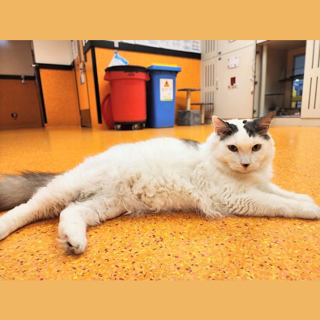 Photo of Wilbur