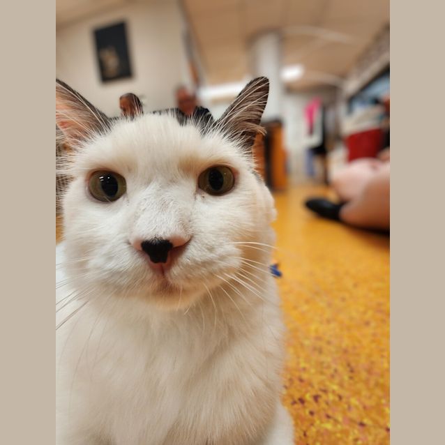 Photo of Wilbur