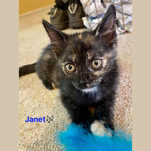 Photo of Janet