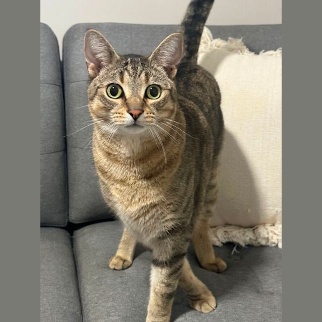 Photo of Declan 🧸💙