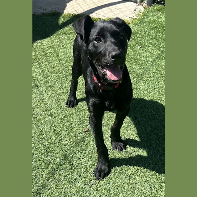Photo of Zeus