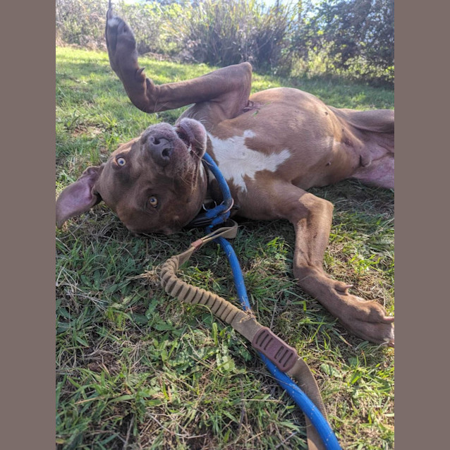 Photo of Zeus