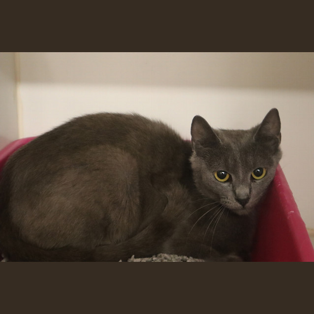 Photo of Luna