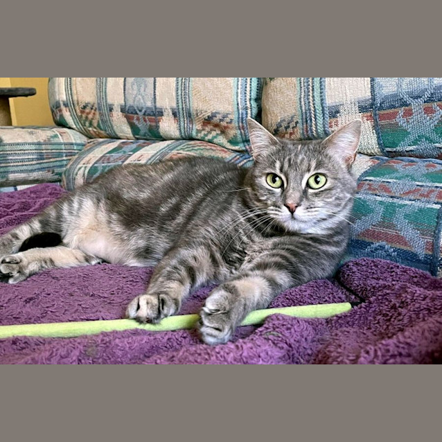 Photo of Possum Sta011327