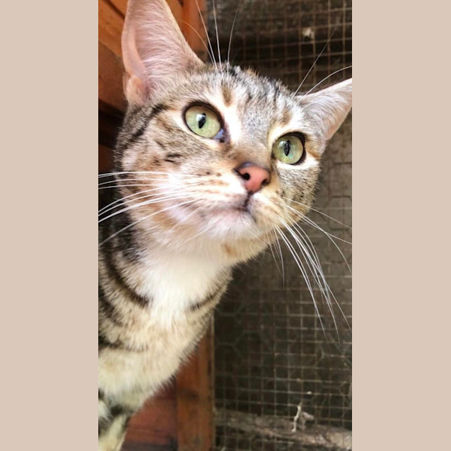 Photo of Tottie And Willamina 