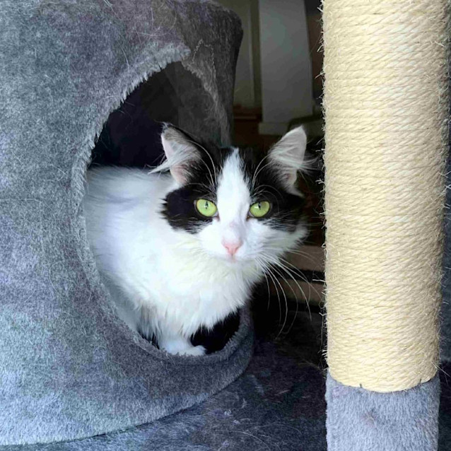 Photo of Cookie Sta011478