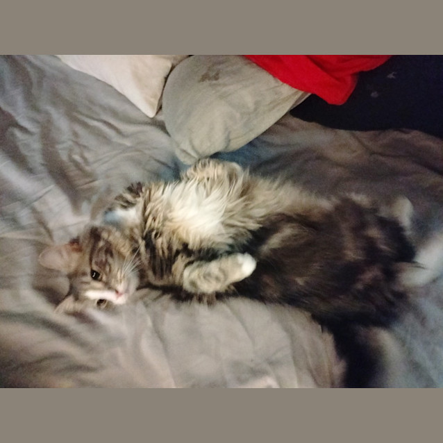 Photo of Albert