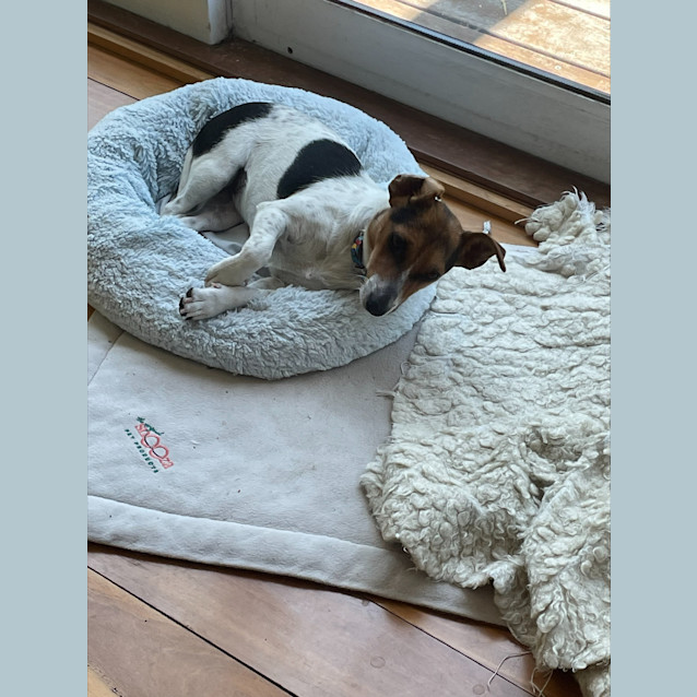 Photo of Bonnie