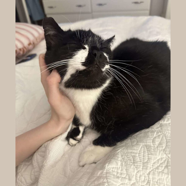 Photo of Major Tom & Billy Joel