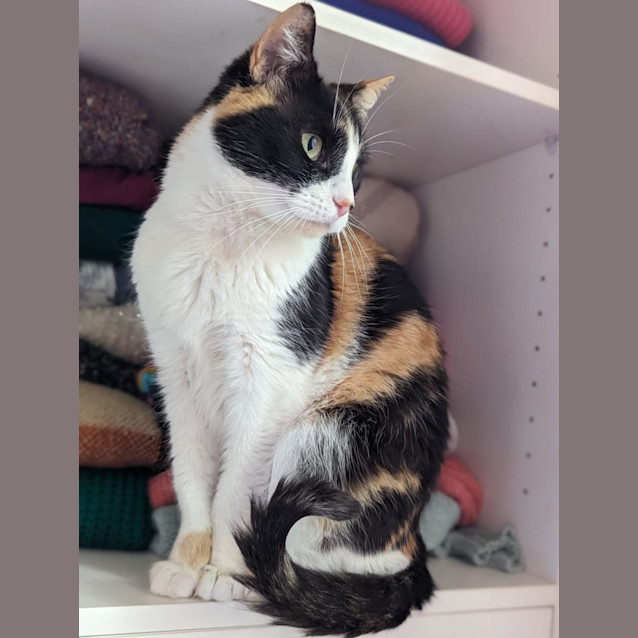 Photo of Khloe And Bella 