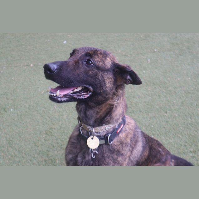 Photo of Gabby