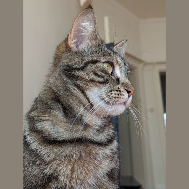 Photo of Khloe And Bella 