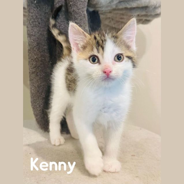 Photo of Kenny   Located In Preston
