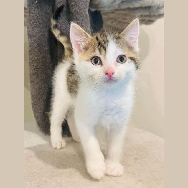 Photo of Kenny   Located In Preston