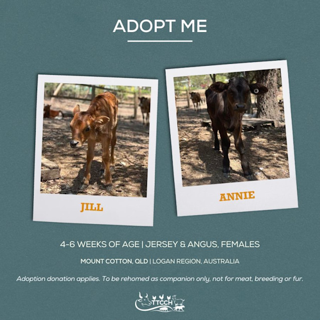 Photo of Jill And Annie