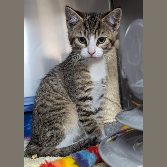 Photo of Theodore