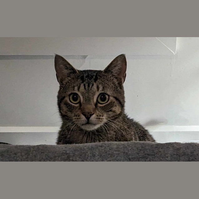 Photo of Bismark