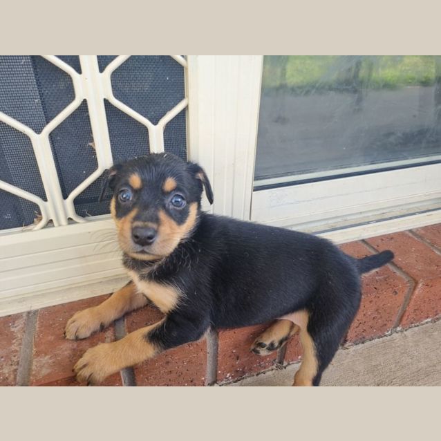 Photo of Zania