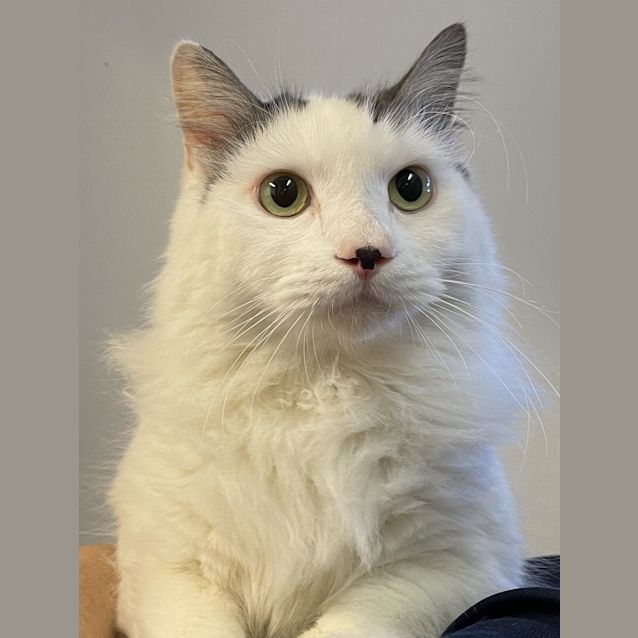 Photo of Wilbur