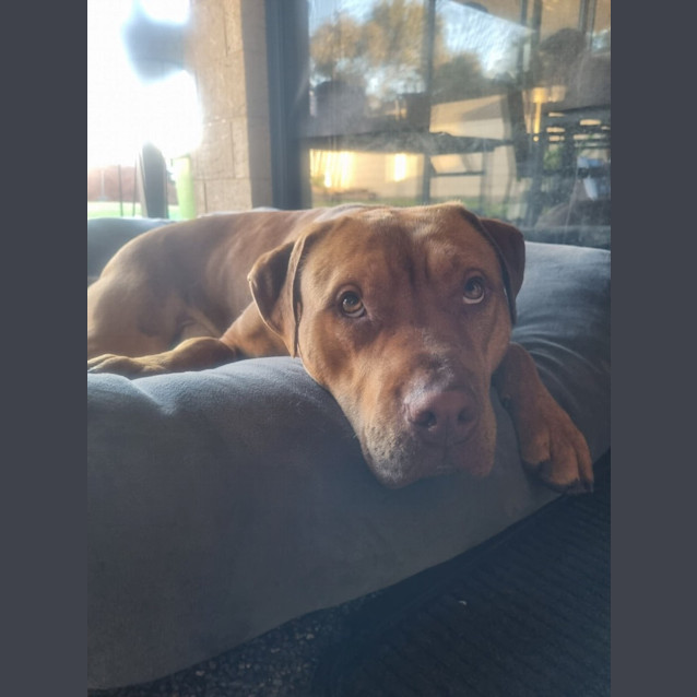 Photo of Zeus