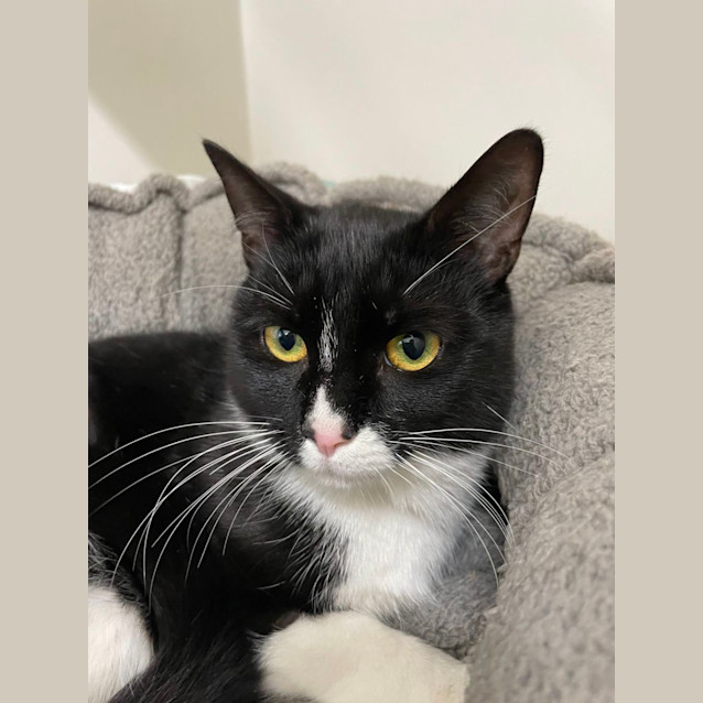 Photo of ☕ Milo 5070 ☕