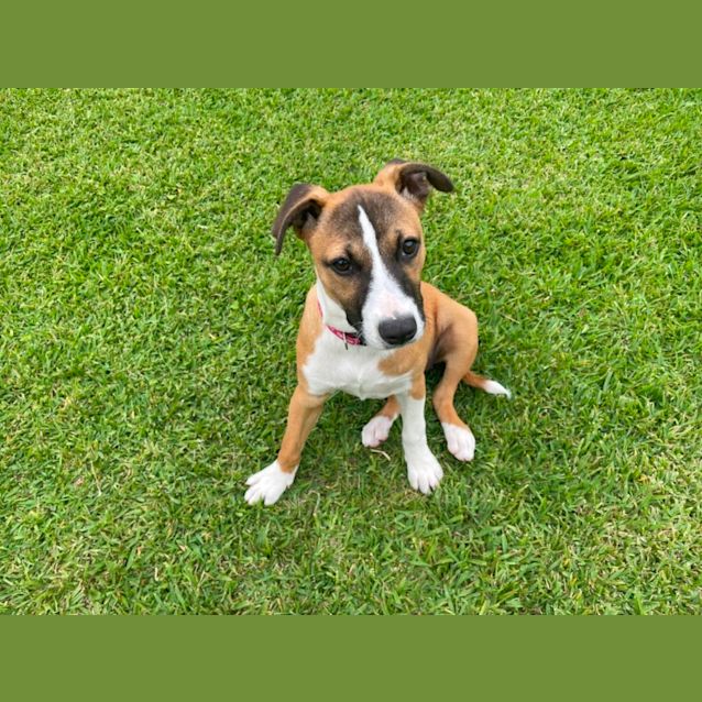 Photo of Remi