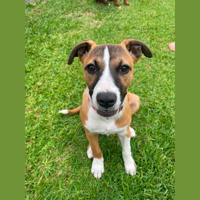 Photo of Remi