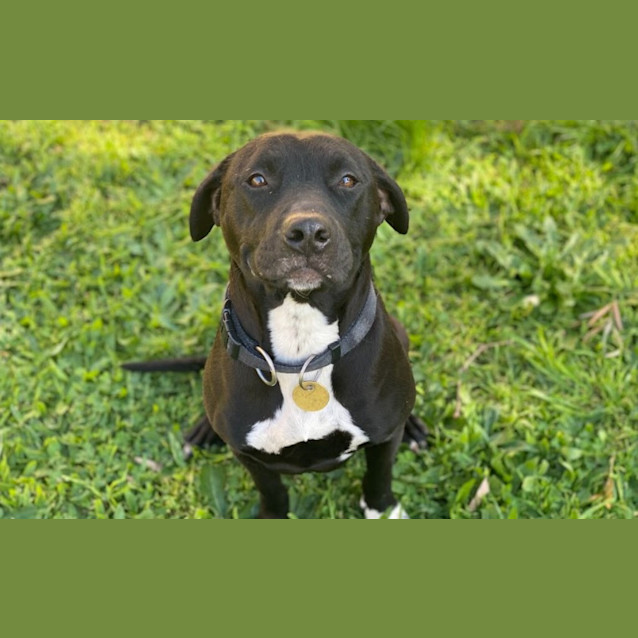 Photo of Starli