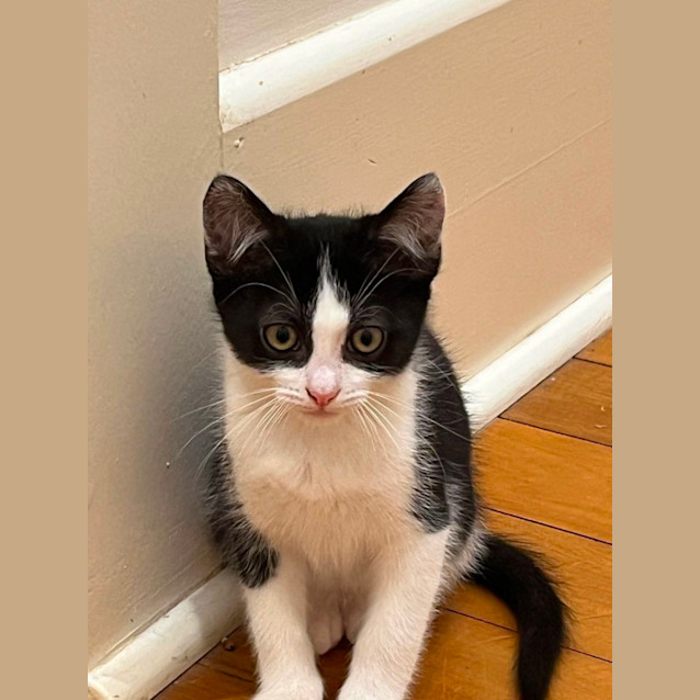 Photo of Winnie And Bear