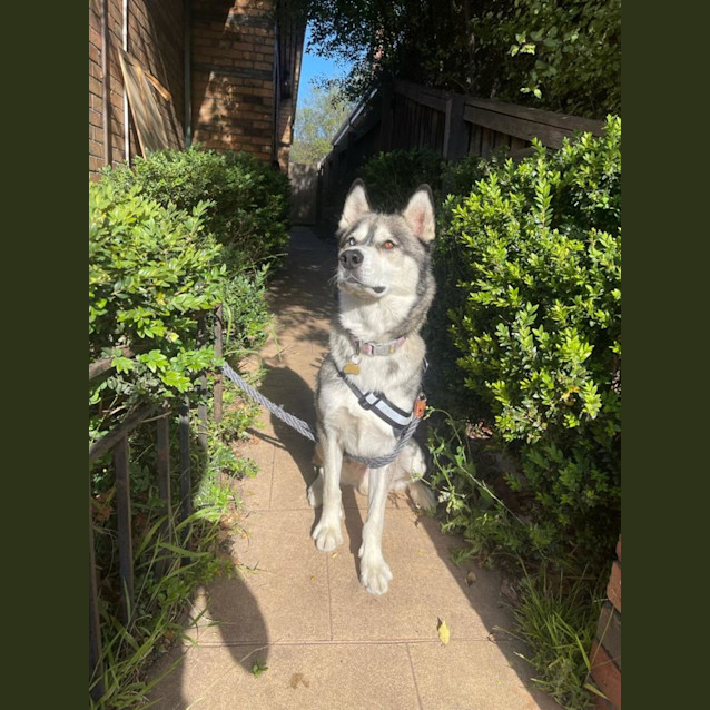 Photo of Lucas