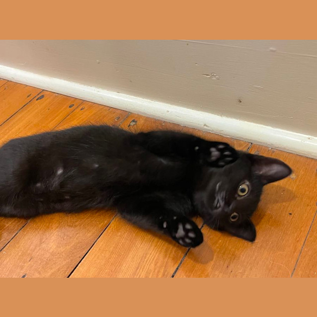 Photo of Winnie And Bear