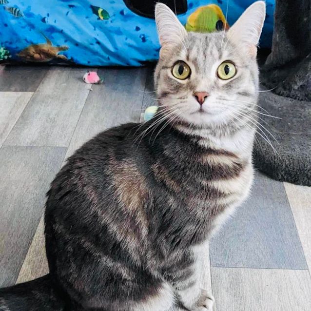 Photo of Lilah   Located In Canberra