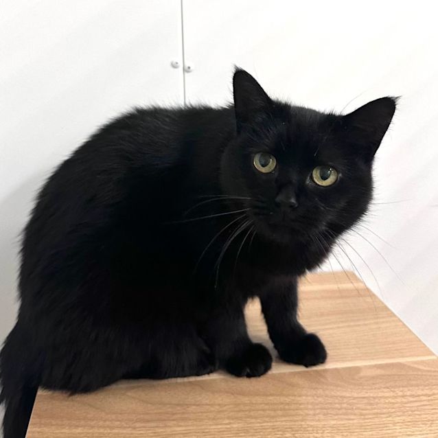 Photo of Lulu   Located In Preston