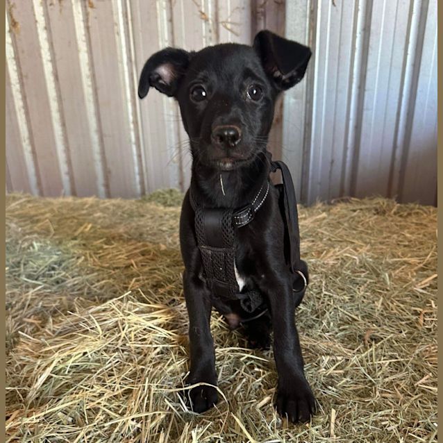 Photo of Bruce