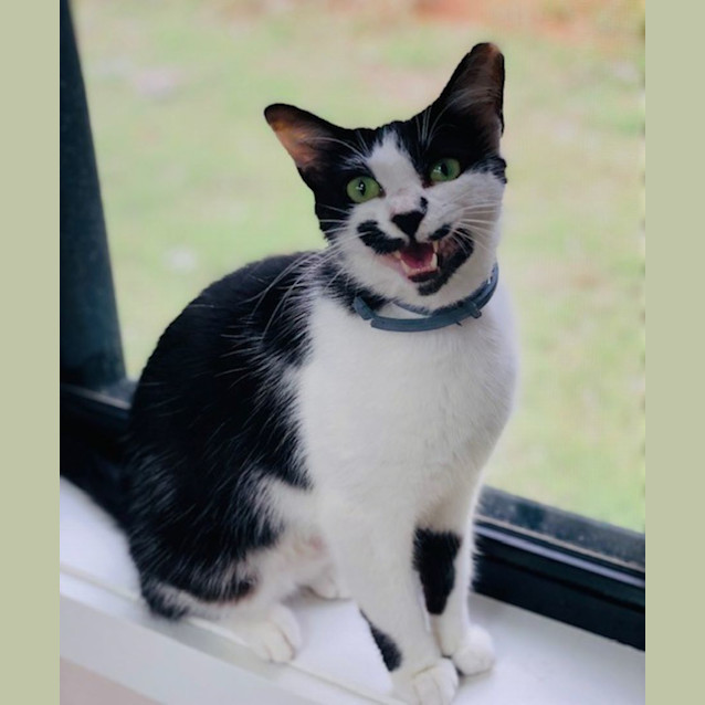 Photo of Wilma (9854)