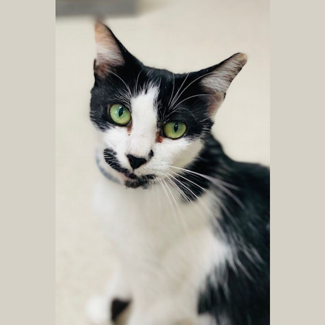 Photo of Wilma (9854)