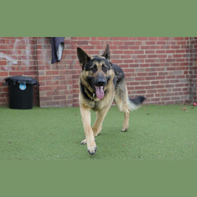 Photo of Zeus