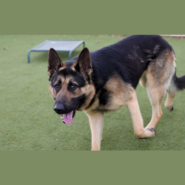 Photo of Zeus