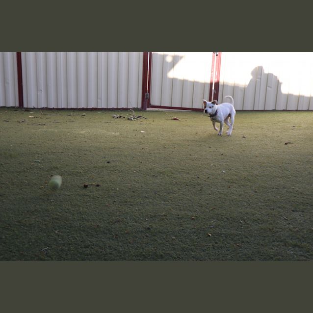 Photo of Manny