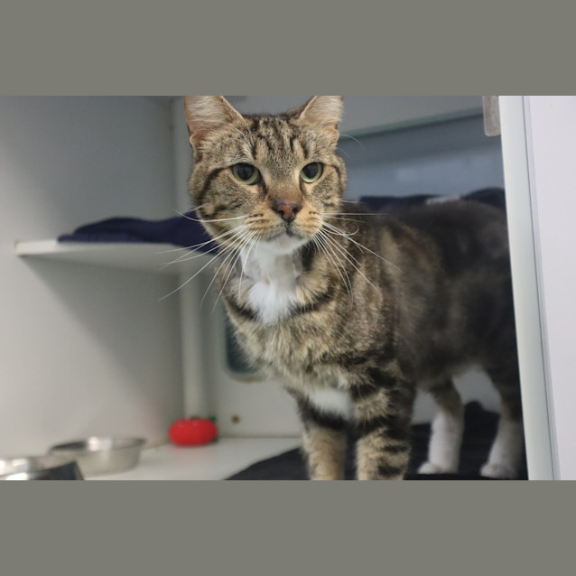 Photo of Storm