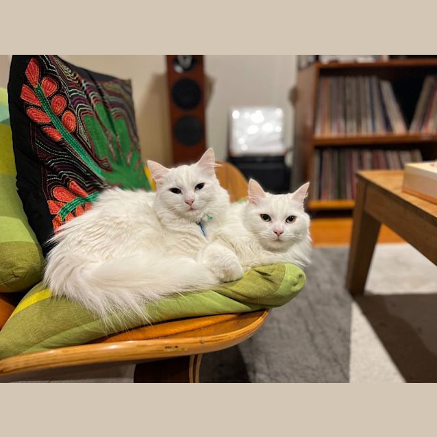 Photo of Billie & Nancy