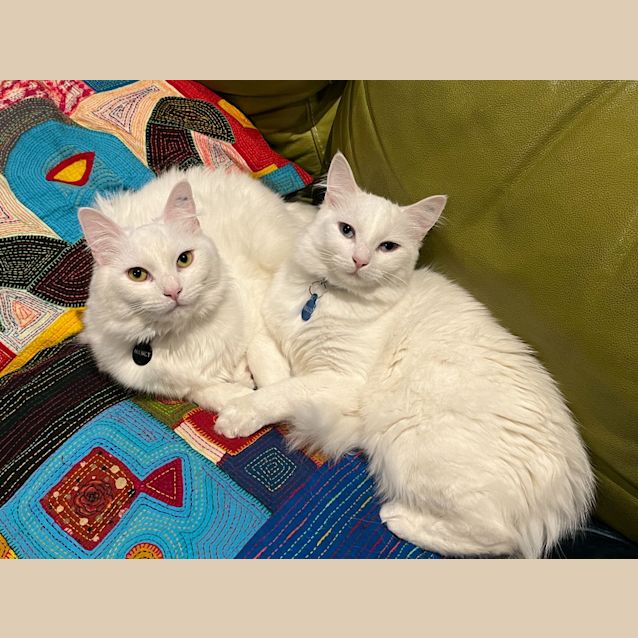 Photo of Billie & Nancy