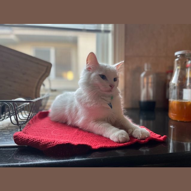 Photo of Billie & Nancy