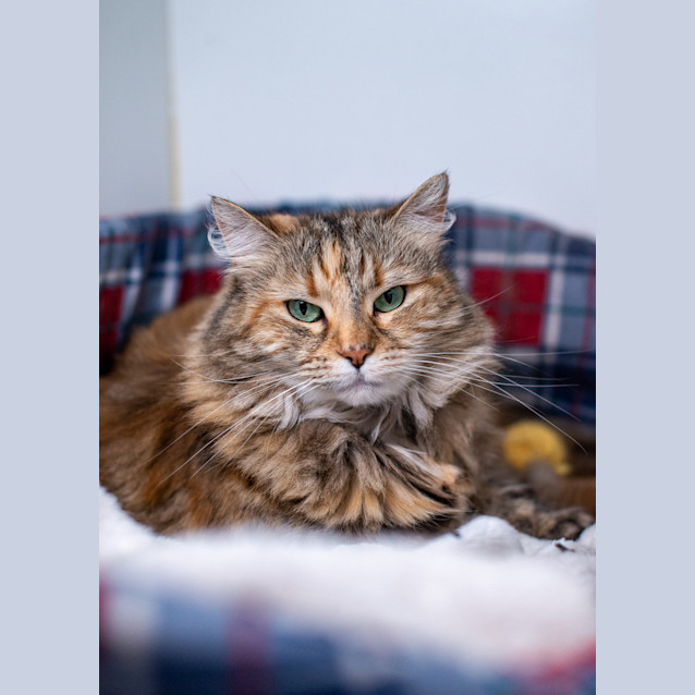 Photo of Sacha