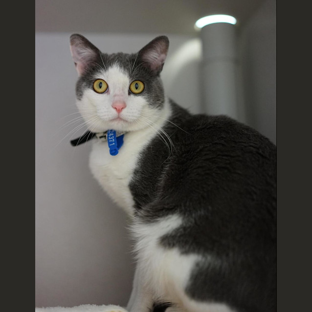 Photo of Finn